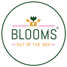 BloomsBox - Das nachhaltige Pflanzengeschenk