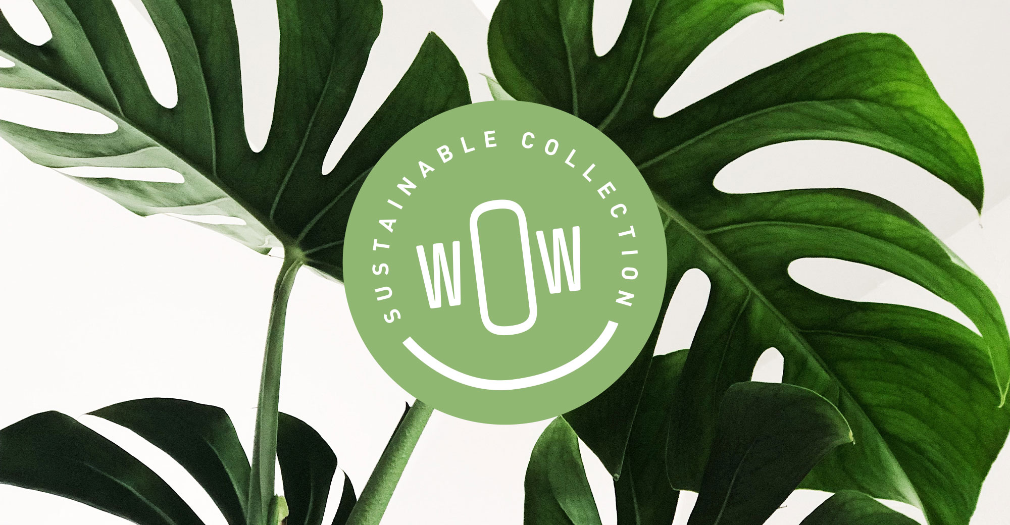 WoW! sustainable gifts collection
