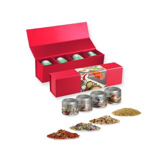 verschiedene Gewürzmischungen (Kategorie 2), ca. 64-260g, Geschenk-Set Premium rot mit Magnetverschluss und 4 Metalldosen Mini mit Sichtfenster