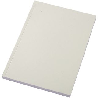 Scribe Plus A5 recyceltes Softcover Notizbuch