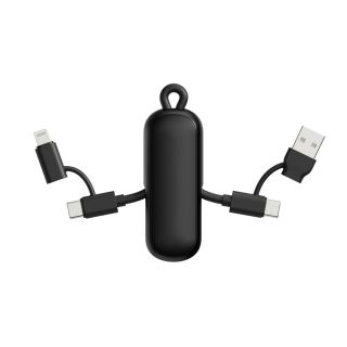 Urban Vitamin Dublin 100W 4 -in-1 keychain cable
