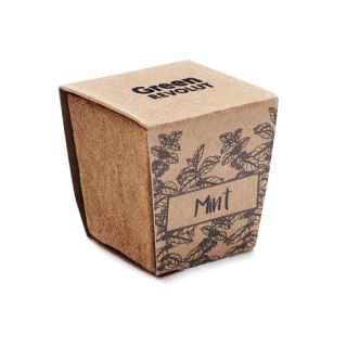 Pflanz-Set Minze MINT KIT - Pflanz-Set Minze