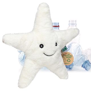 RecycelStarfish