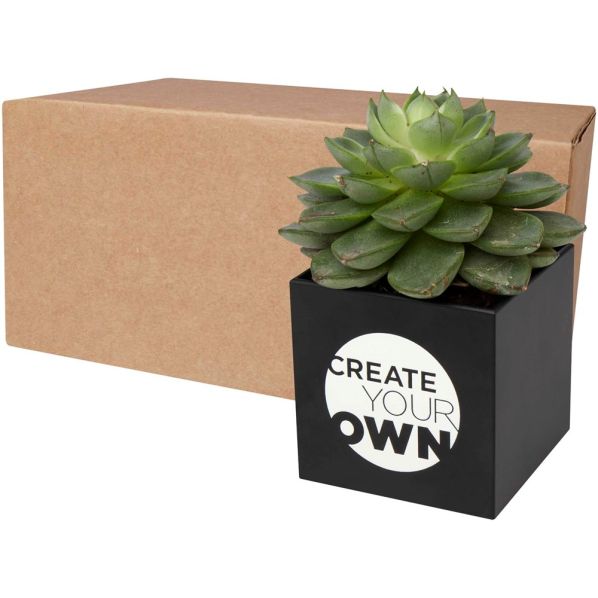 Hey Pots Blumentopf aus Aluminium, Kaktus individuell bedrucken |  maxxpromo.ch